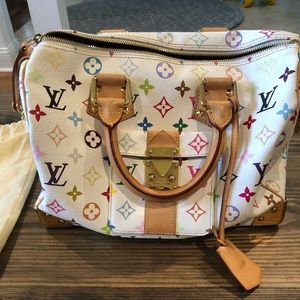 Louis Vuitton multicolor speedy